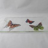TR17004 - Butterfly Textured Tray